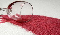 Heavens-Best-Carpet-Cleaning-Denver-stain-guard(1)