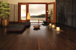 11_0002 African Mahogany-Bronze [recreation room]