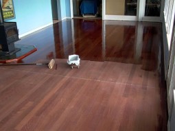 Floor Sanding