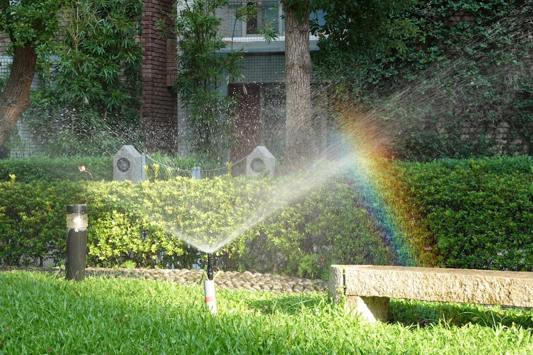Photo Lawn Irrigation System