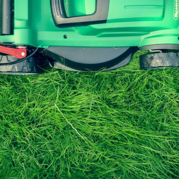 Photo landscaping