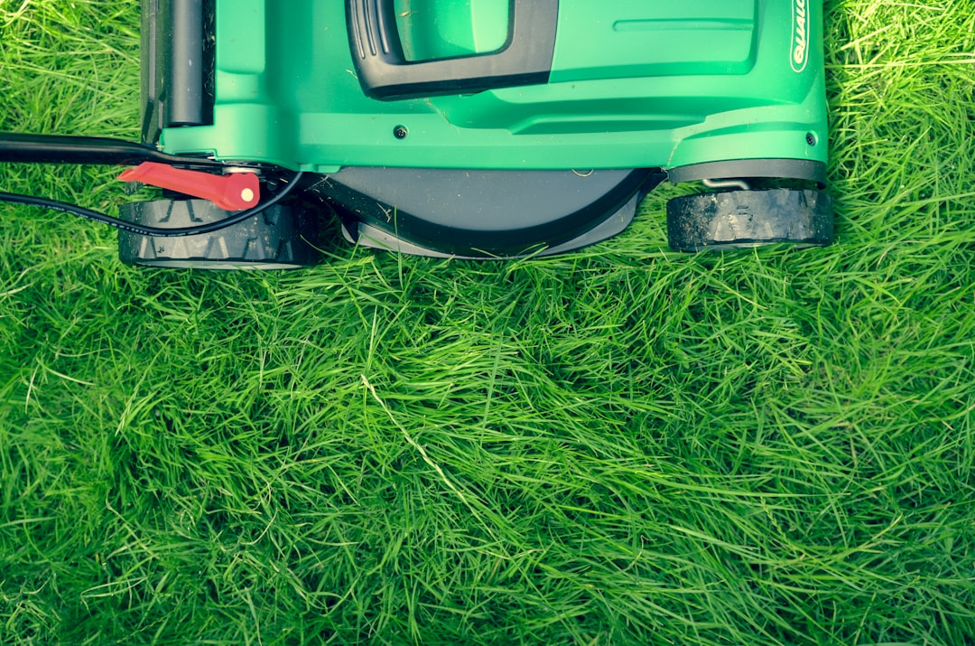 Photo landscaping