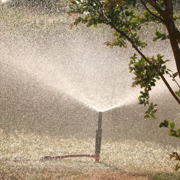 Photo Sprinkler Systems