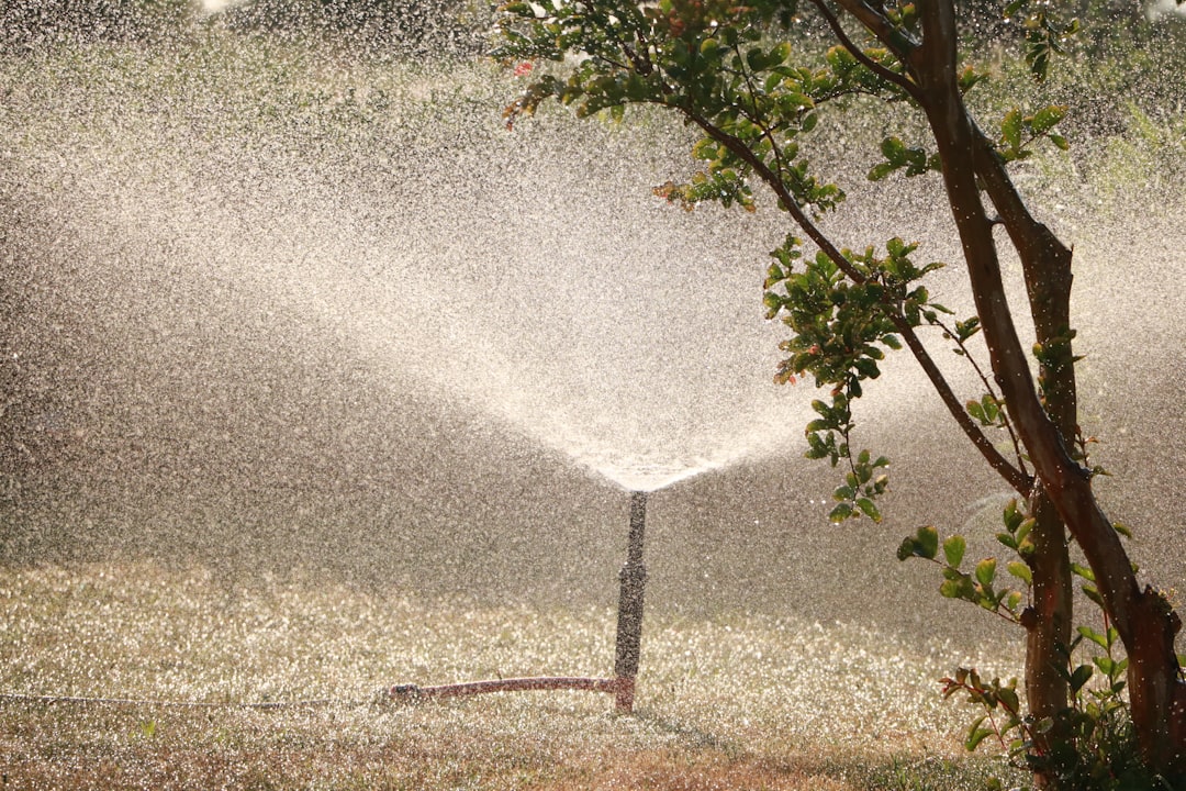 Photo Sprinkler Systems