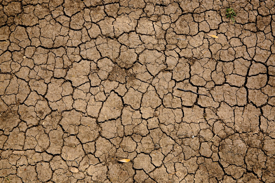 Photo Soil Drainage Issues