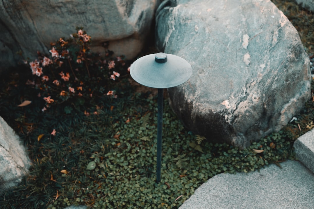 Photo Landscape Lighting